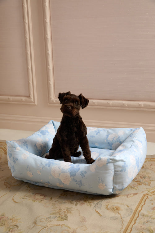 Printed Dog Bed